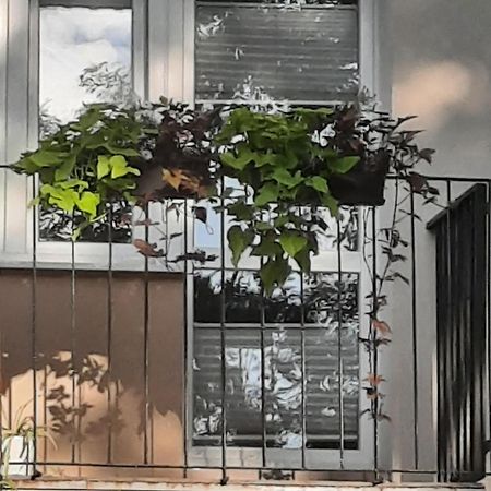 Apartament Jak W Domu Zamość 外观 照片