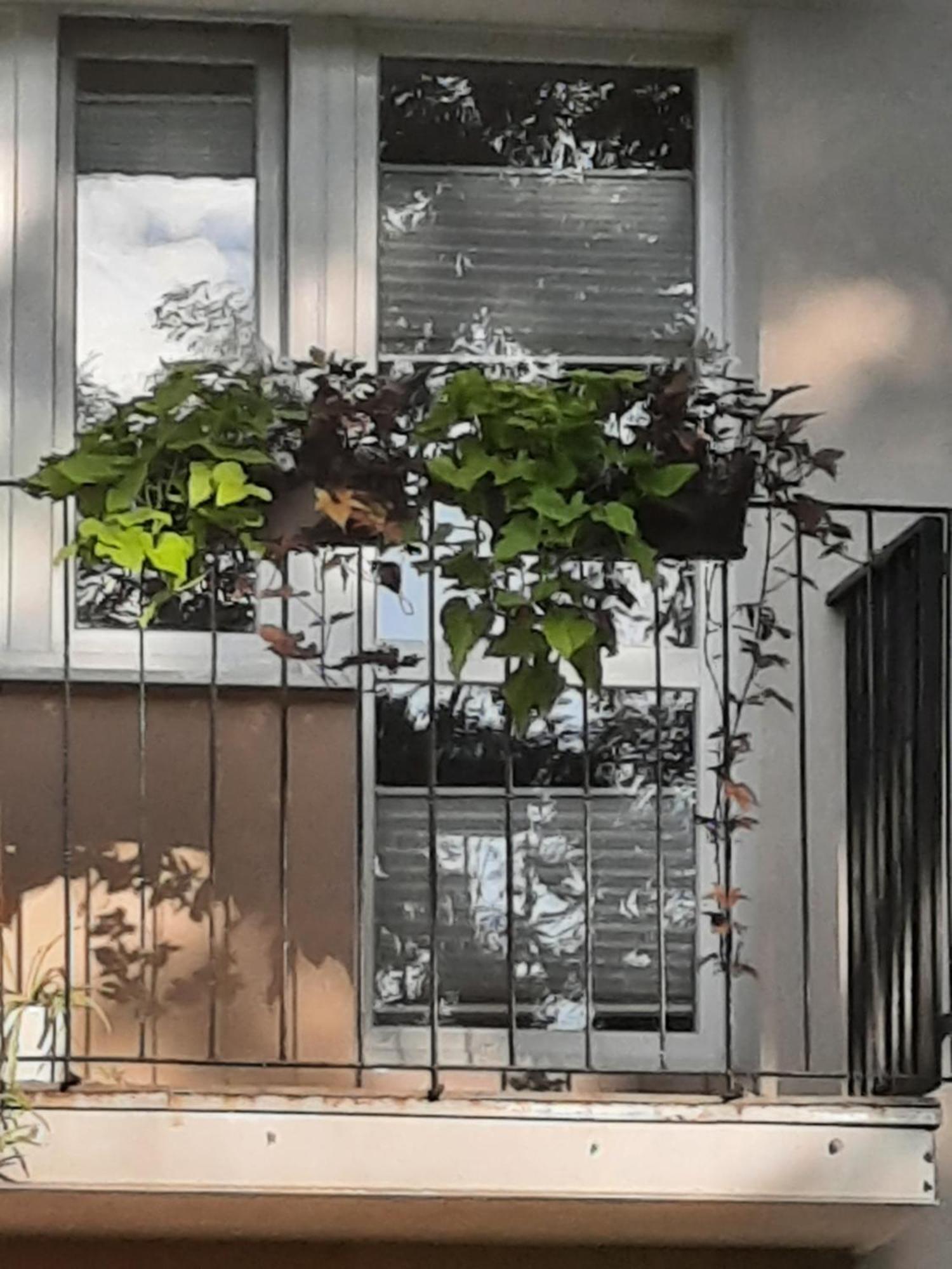 Apartament Jak W Domu Zamość 外观 照片