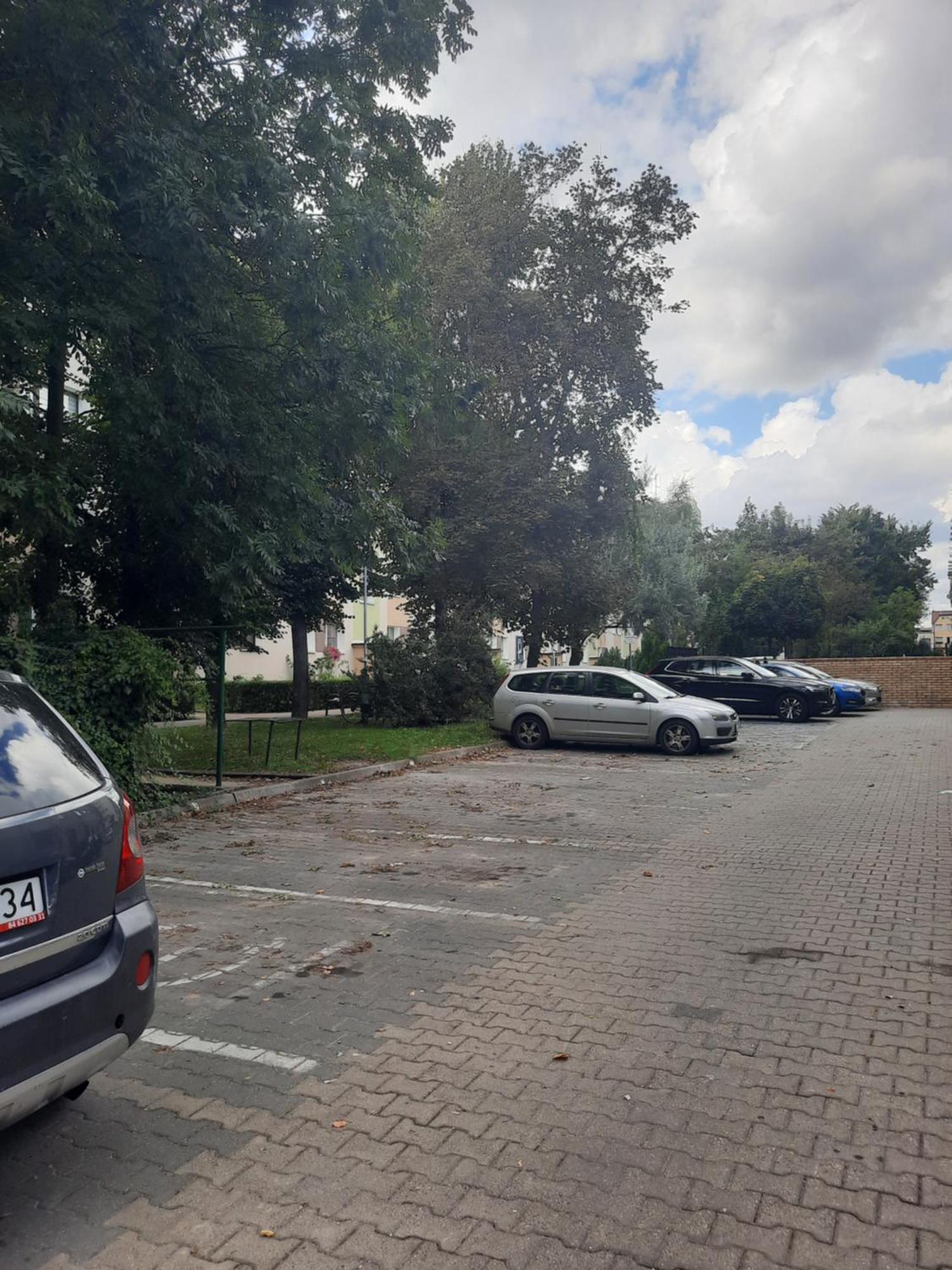 Apartament Jak W Domu Zamość 外观 照片
