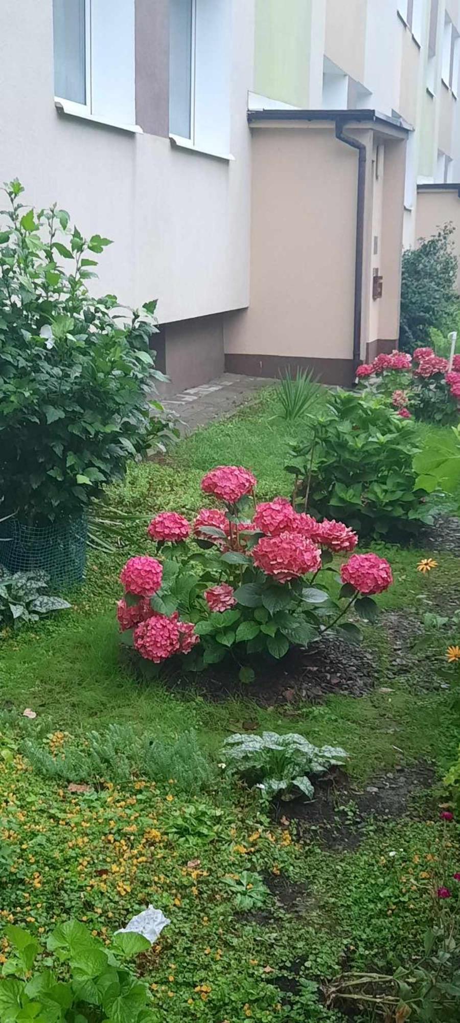 Apartament Jak W Domu Zamość 外观 照片